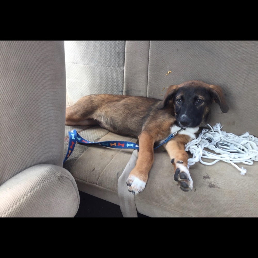 Meet your Posher, Maggie